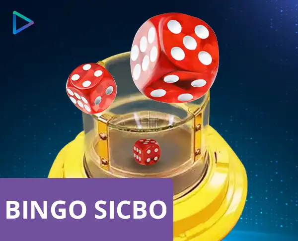 Bingo Sicbo by Nagaikan